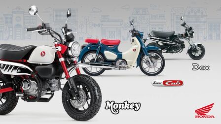 25YM Honda ICON family updates